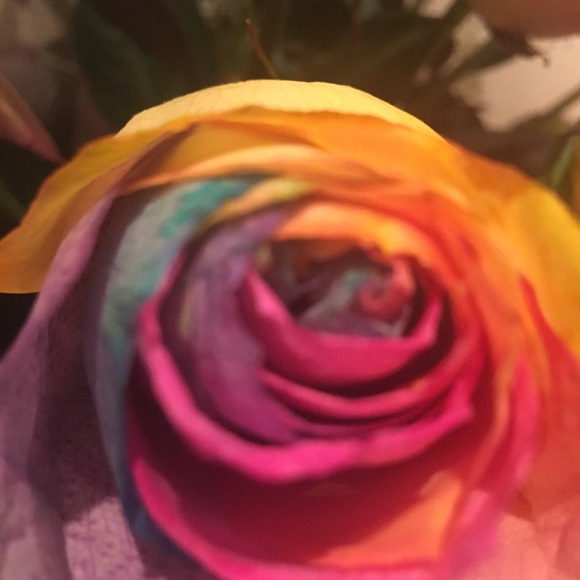 Meet your Posher, Barbara - Picture 1 of 1